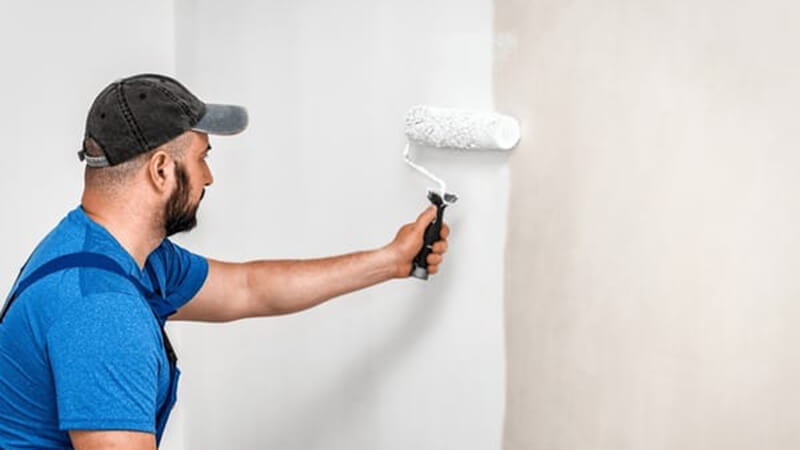 Painting and Surface Repairs